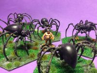 3248626 Dragon Rampant: Fantasy Wargaming Rules (GDR)