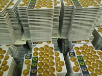 3185452 Germania Magna: Border in Flames 