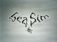 387508 SeaSim