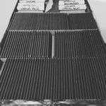 2814212 Legendary: Secret Wars - Volume 2 