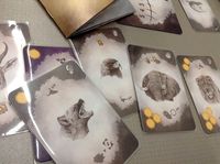 3814237 Serengeti: A Race For Life