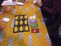 2761902 Knights vs Steambots