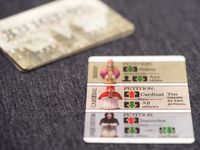 4042655 Avignon (Edizione Tedesca)