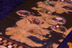 3309713 Game of Thrones: The Trivia Game 