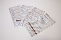 3339457 Fallen Angel