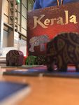 3583484 Kerala: The Way of the Elephant