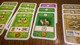 3111542 The Castles of Burgundy: The Card Game 