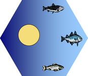 247695 Settlers of Catan: The Fishermen of Catan