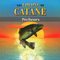 255993 Settlers of Catan: The Fishermen of Catan
