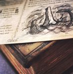 3409096 Tides of Madness