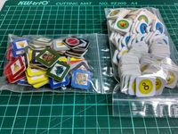 3205687 The Pioneers Program