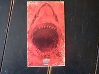4011683 Shark Island