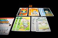 3712372 Festival of Thousand Cats