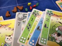 3811279 Festival of Thousand Cats