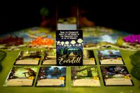 4241402 Everdell - Collector's Edition - Kickstarter limited