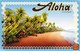96300 Aloha
