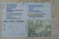 4338807 Austerlitz 1805: Rising Eagles