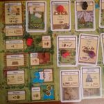 3060709 Agricola (revised edition)