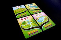 4866154 Rocky Road à la Mode