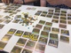 3217113 Fields of Green (Kickstarter Edition)