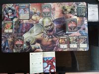 4842238 Hero Realms: The Ruin of Thandar Campaign Deck