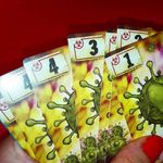 3642995 Virus: An Infectious Card Game