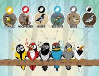 3243938 The Bird Told Me To Do It