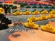 3382963 Ticket to Ride: Vagoni & Velieri