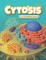 3157131 Cytosis: Custom Macromolecule Pieces