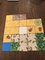 3176111 Kingdomino (Edizione Multilingua)