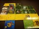 3176114 Kingdomino (Edizione Tedesca)