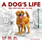 3120589 A Dog's Life