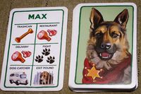 3675229 A Dog's Life