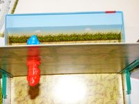 5389382 Mino &amp; Tauri