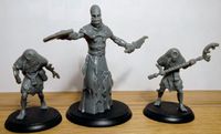 3927341 Shadows of Brimstone: Flesh Stalker &amp; Flesh Drones Deluxe Enemy Pack