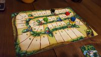 3928837 Carcassonne: Amazonas (Edizione Inglese)