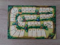 4566771 Carcassonne: Amazonas (Edizione Inglese)