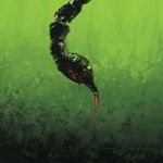 3151014 The City of Kings