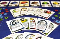 3222743 Conflicting Legends