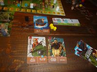 3369800 Raiders of the North Sea: Fields of Fame