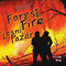 3251976 Forest Fire