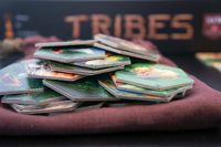 3370588 Tribes (Edizione Inglese)