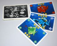 125225 Kleine Fische