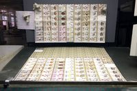 3745308 Crossroads of Heroes