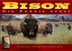 162492 Bison: Thunder on the Prairie