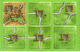 115308 Carcassonne: La Torre