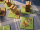 124944 Carcassonne: Der Turm