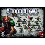 3386457 Blood Bowl (2016 edition): The Skavenblight Scramblers – Skaven Blood Bowl Team