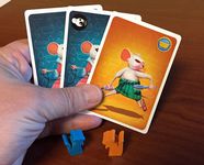 4306580 Head of Mousehold