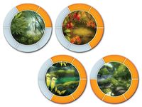 3309526 Chameleon Time